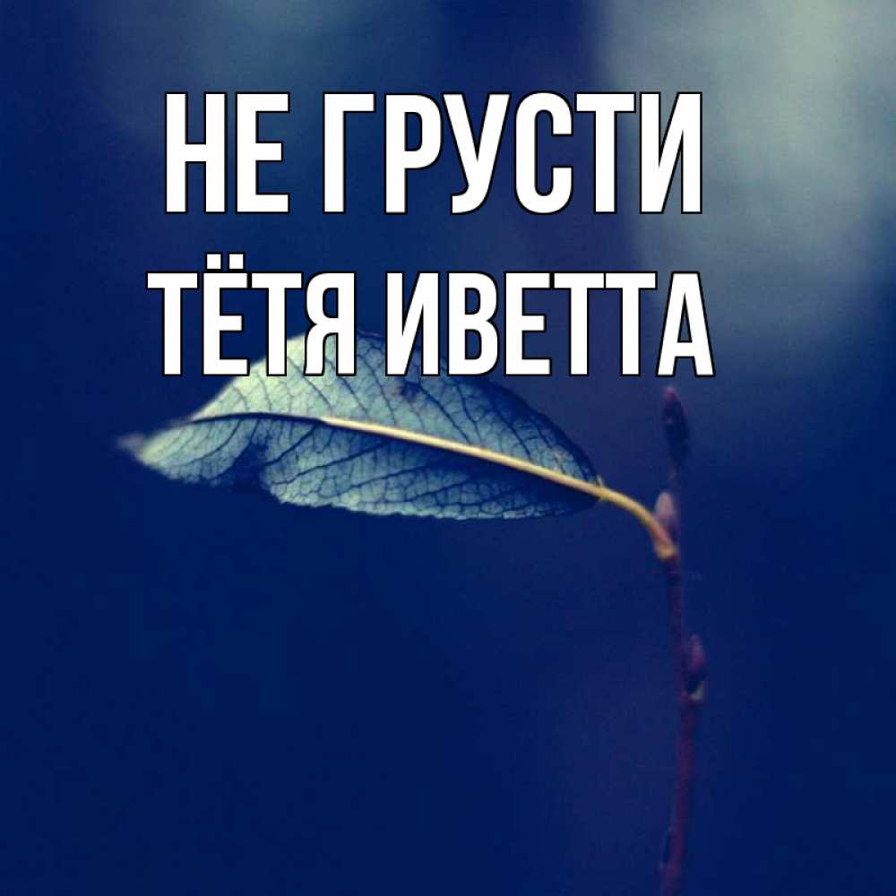 Открытка на каждый день с именем, Тётя-Иветта Не грусти растение Прикольная открытка с пожеланием онлайн скачать бесплатно 
