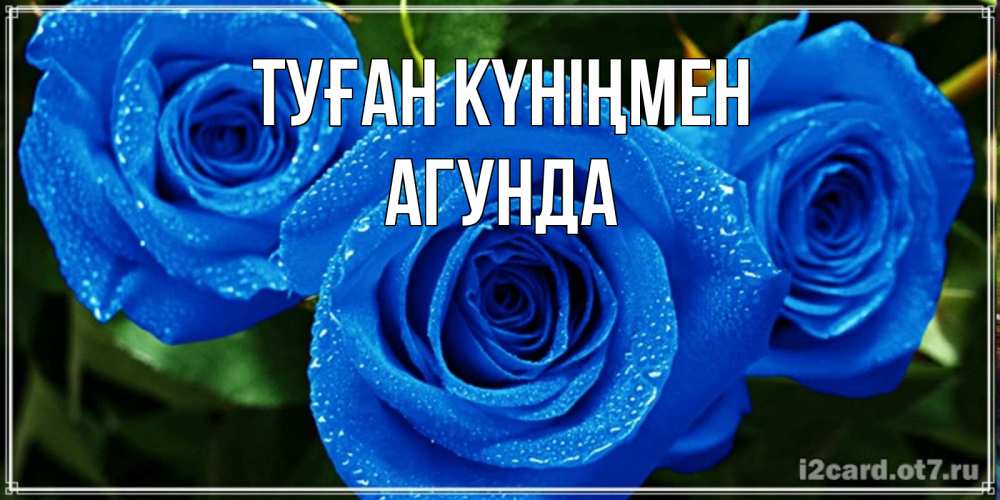 Открытка на каждый день с именем, Агунда Туған күніңмен розы с синим цветом Прикольная открытка с пожеланием онлайн скачать бесплатно 