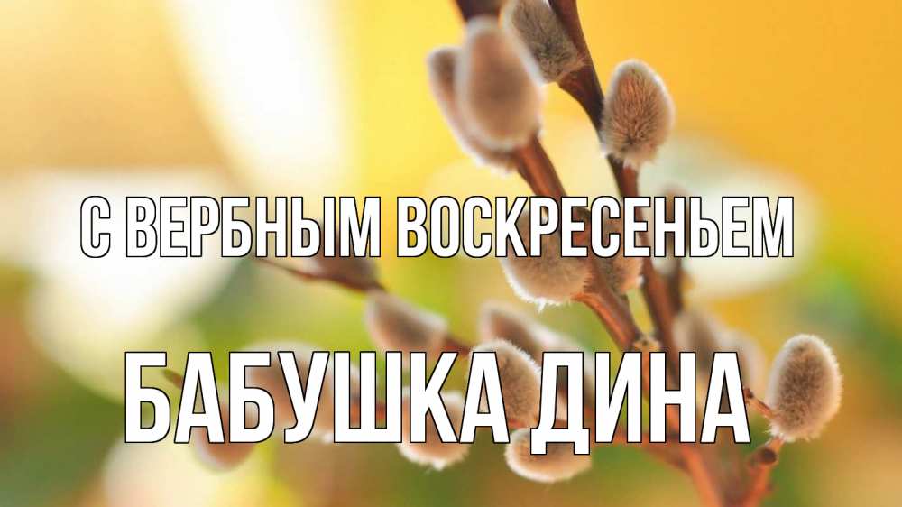 Открытка на каждый день с именем, Бабушка-Дина С вербным воскресеньем верба 1 Прикольная открытка с пожеланием онлайн скачать бесплатно 