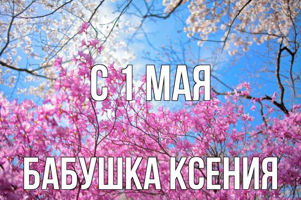 Открытка на каждый день с именем, Бабушка-Ксения С 1 мая С 1 мая Прикольная открытка с пожеланием онлайн скачать бесплатно 