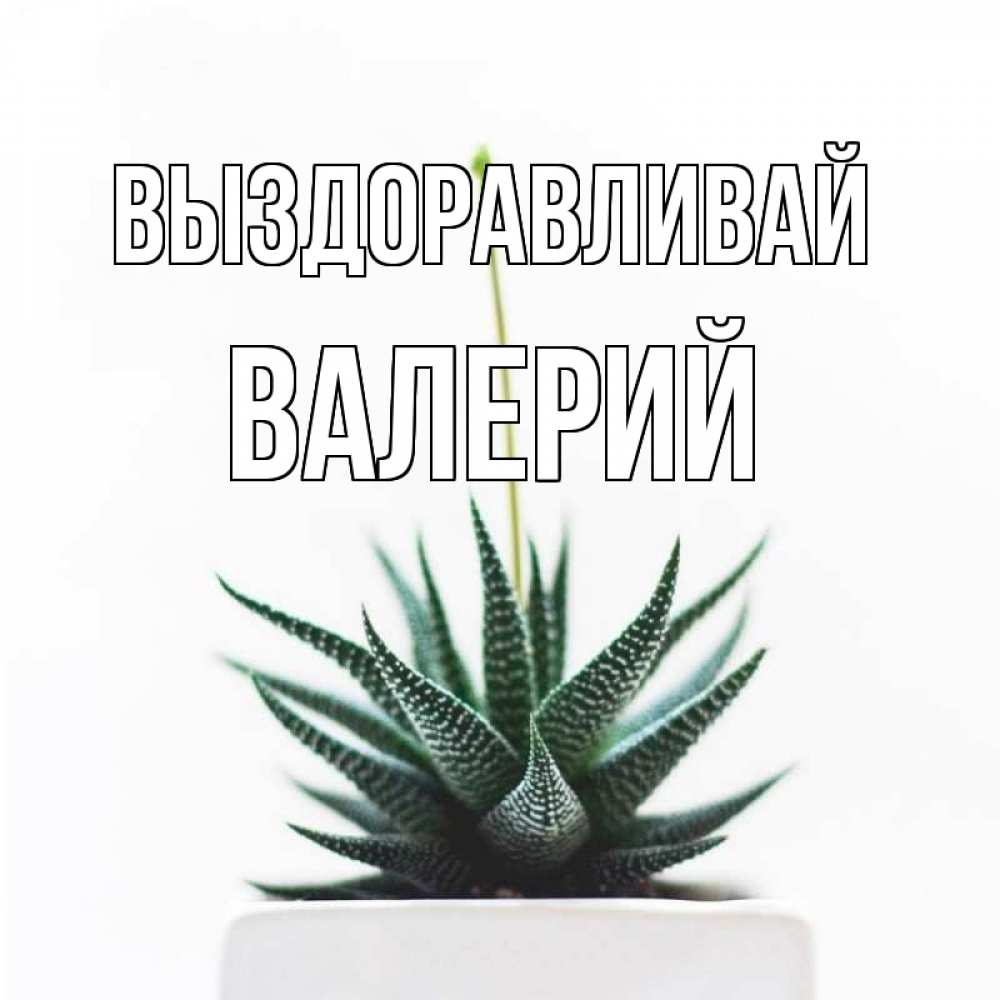 Открытка на каждый день с именем, Валерий Выздоравливай короче это непонятная колючка Прикольная открытка с пожеланием онлайн скачать бесплатно 