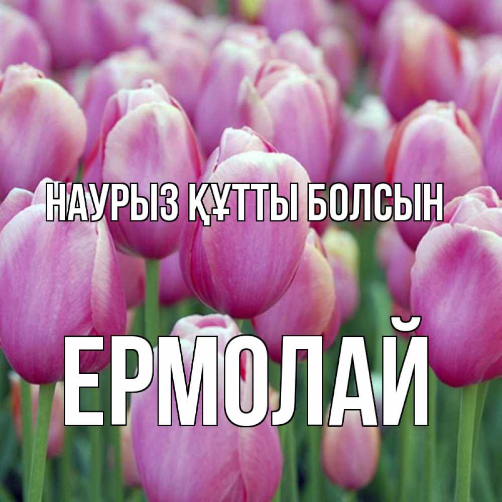 Открытка на каждый день с именем, Ермолай Наурыз құтты болсын на наурыз  день 3 Прикольная открытка с пожеланием онлайн скачать бесплатно 