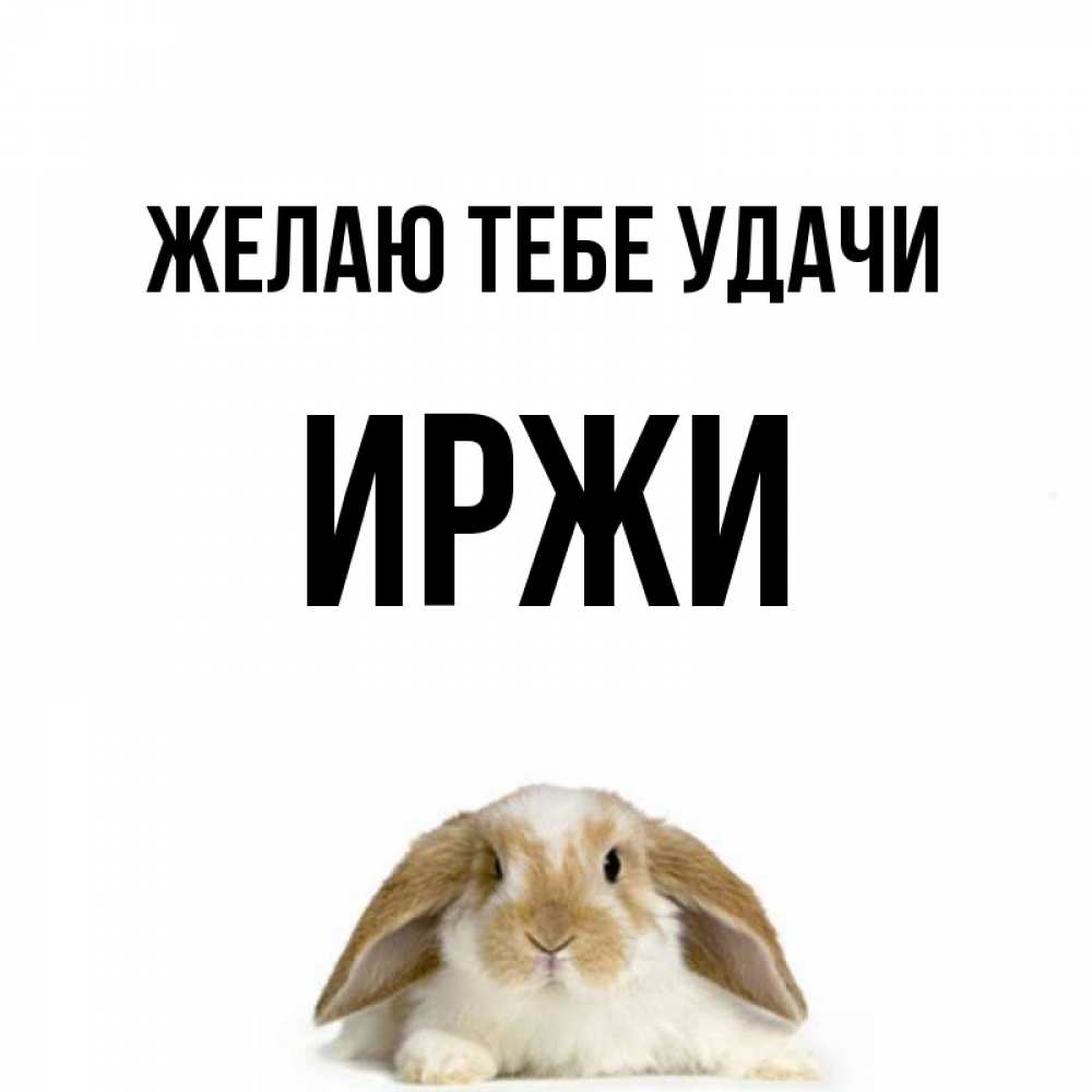 Открытка на каждый день с именем, Иржи Желаю тебе удачи открытки с произвольным текстом который можно вставить в открытку и создать ее самостоятельно бесплатно онлайн Прикольная открытка с пожеланием онлайн скачать бесплатно 