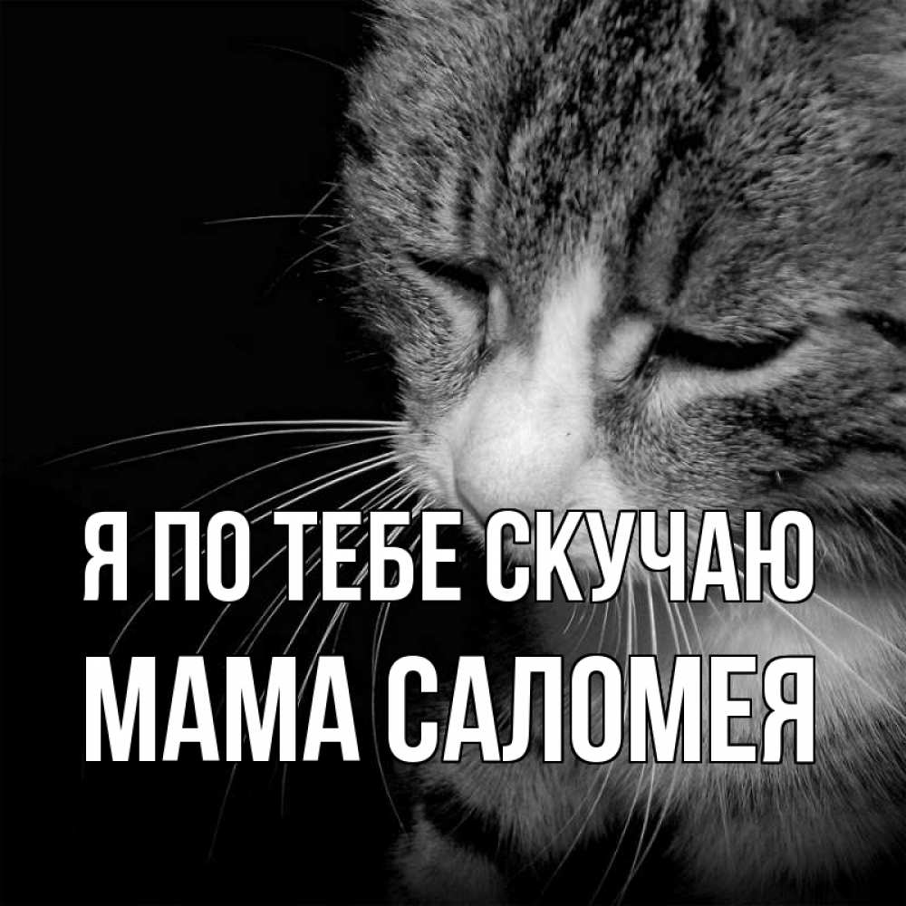 Открытка на каждый день с именем, Мама-Саломея Я по тебе скучаю мне скучно Прикольная открытка с пожеланием онлайн скачать бесплатно 