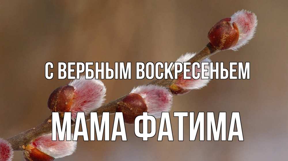 Открытка на каждый день с именем, Мама-Фатима С вербным воскресеньем верба Прикольная открытка с пожеланием онлайн скачать бесплатно 