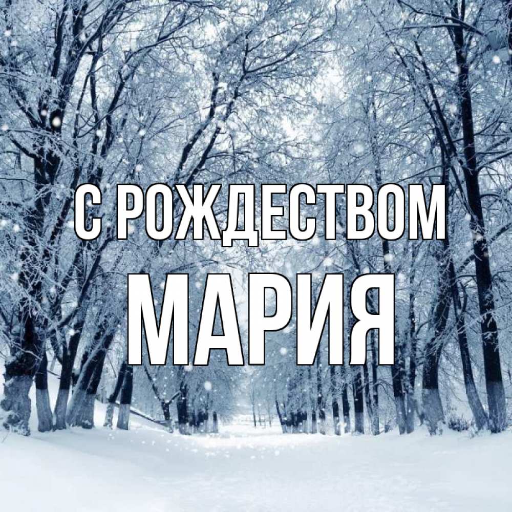 Открытка на каждый день с именем, Мария С рождеством снег, лес, парк Прикольная открытка с пожеланием онлайн скачать бесплатно 