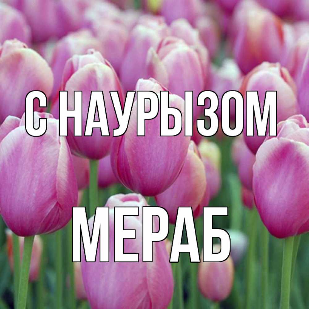 Открытка на каждый день с именем, Мераб С наурызом праздник весны наурыз 69 Прикольная открытка с пожеланием онлайн скачать бесплатно 