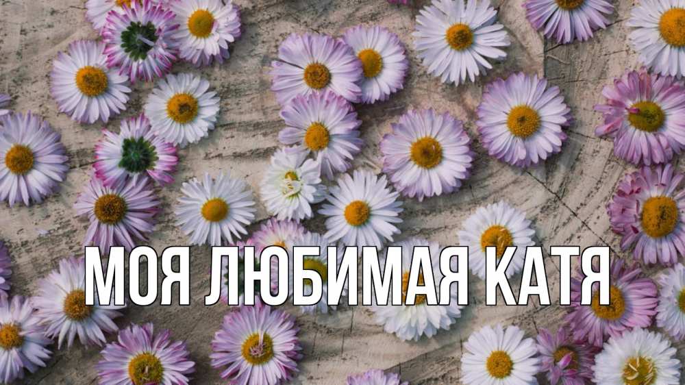 Открытка на каждый день с именем, Моя-любимая-Катя Главная с днем семьи Прикольная открытка с пожеланием онлайн скачать бесплатно 