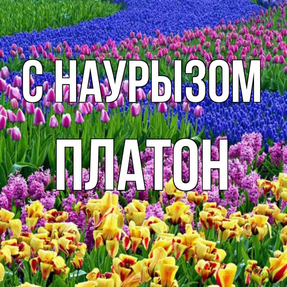 Открытка на каждый день с именем, Платон С наурызом цветы Прикольная открытка с пожеланием онлайн скачать бесплатно 