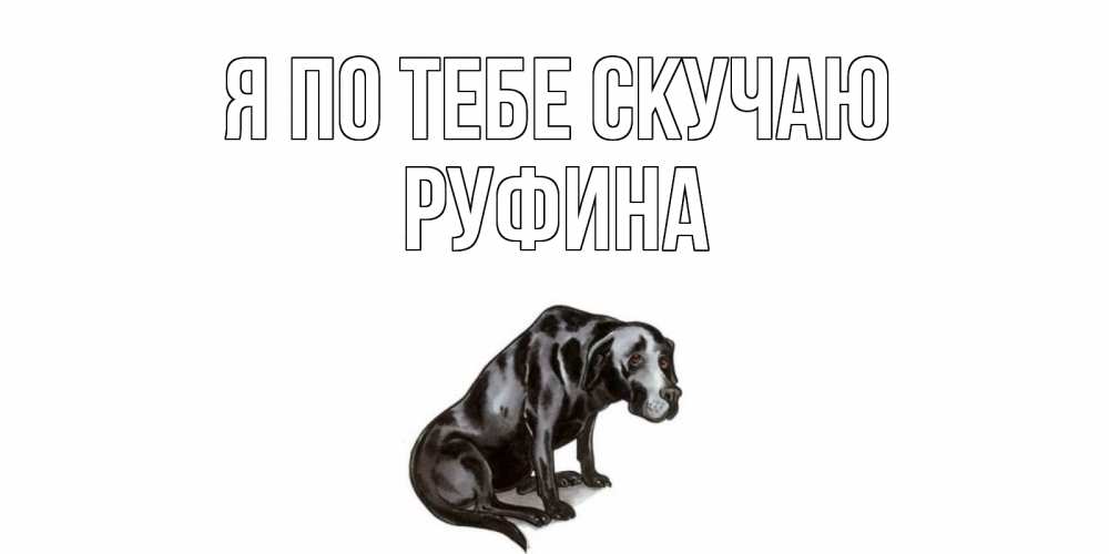 Открытка на каждый день с именем, Руфина Я по тебе скучаю я по тебе скучаю открытка с собакой Прикольная открытка с пожеланием онлайн скачать бесплатно 