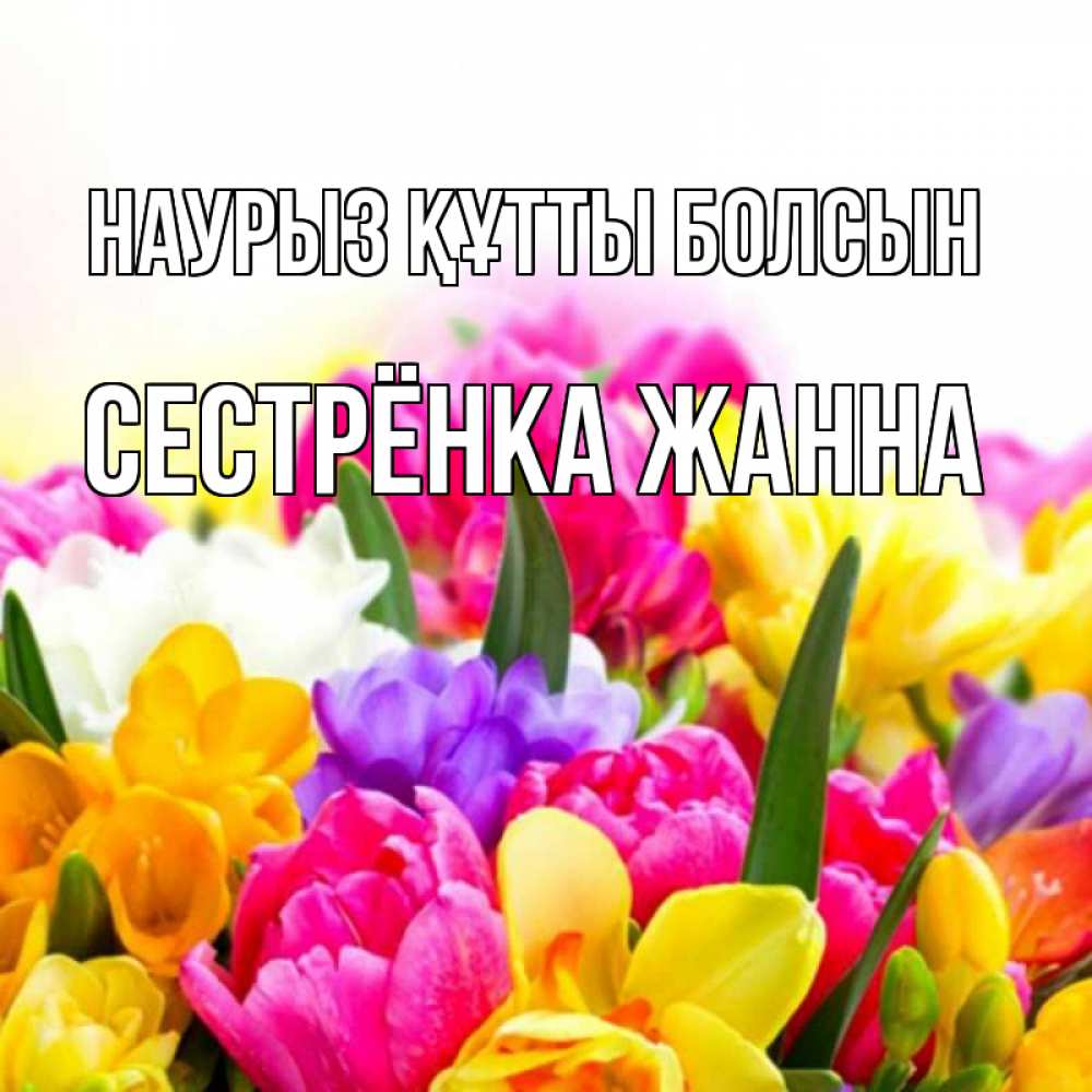 Открытка на каждый день с именем, Сестрёнка-Жанна Наурыз құтты болсын тюльпаны Прикольная открытка с пожеланием онлайн скачать бесплатно 