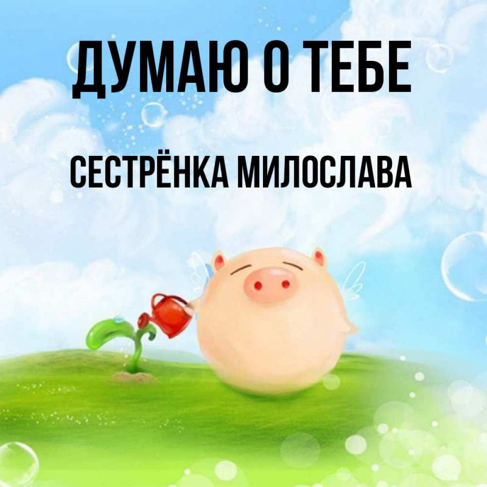 Открытка на каждый день с именем, Сестрёнка-Милослава Думаю о тебе позитивная свинюшка Прикольная открытка с пожеланием онлайн скачать бесплатно 