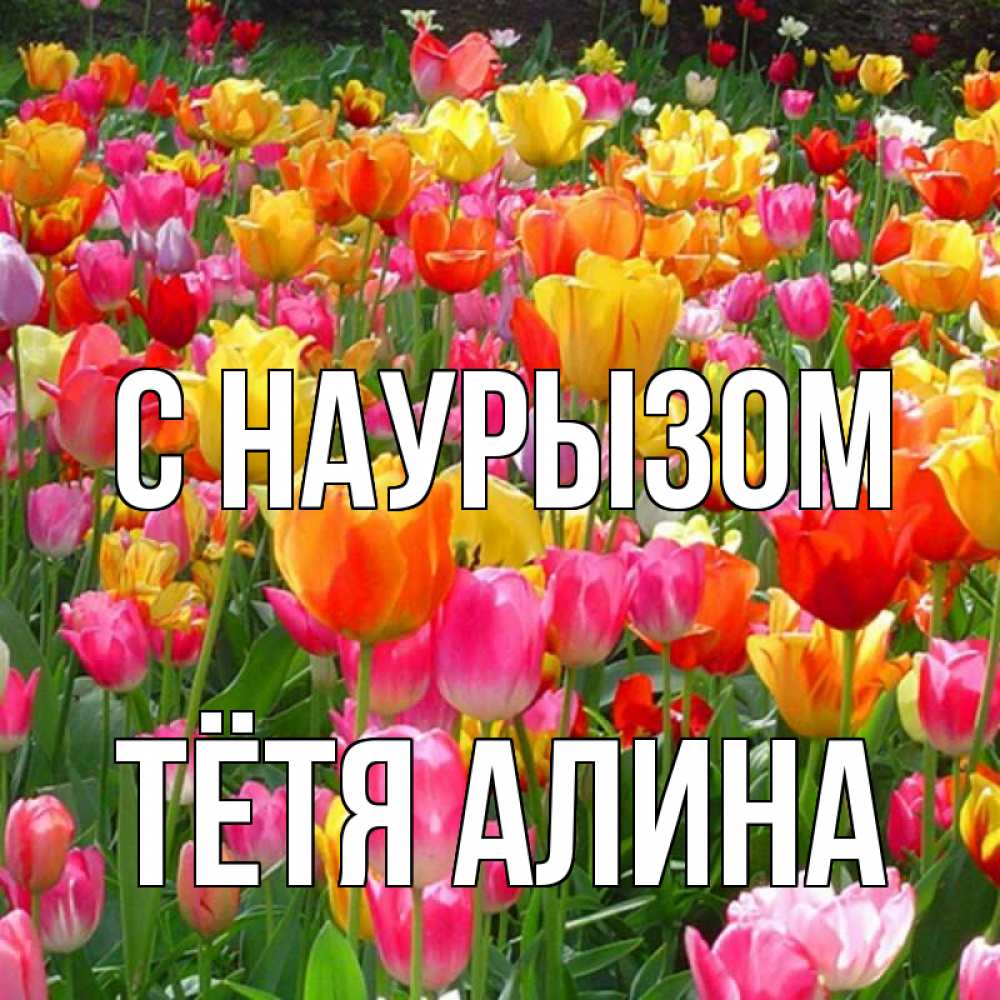 Открытка на каждый день с именем, Тётя-Алина С наурызом праздник весны наурыз 4 Прикольная открытка с пожеланием онлайн скачать бесплатно 