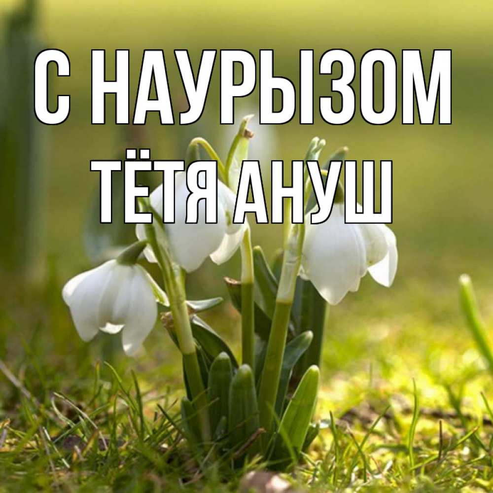Открытка на каждый день с именем, Тётя-Ануш С наурызом ранние цветы 2 Прикольная открытка с пожеланием онлайн скачать бесплатно 
