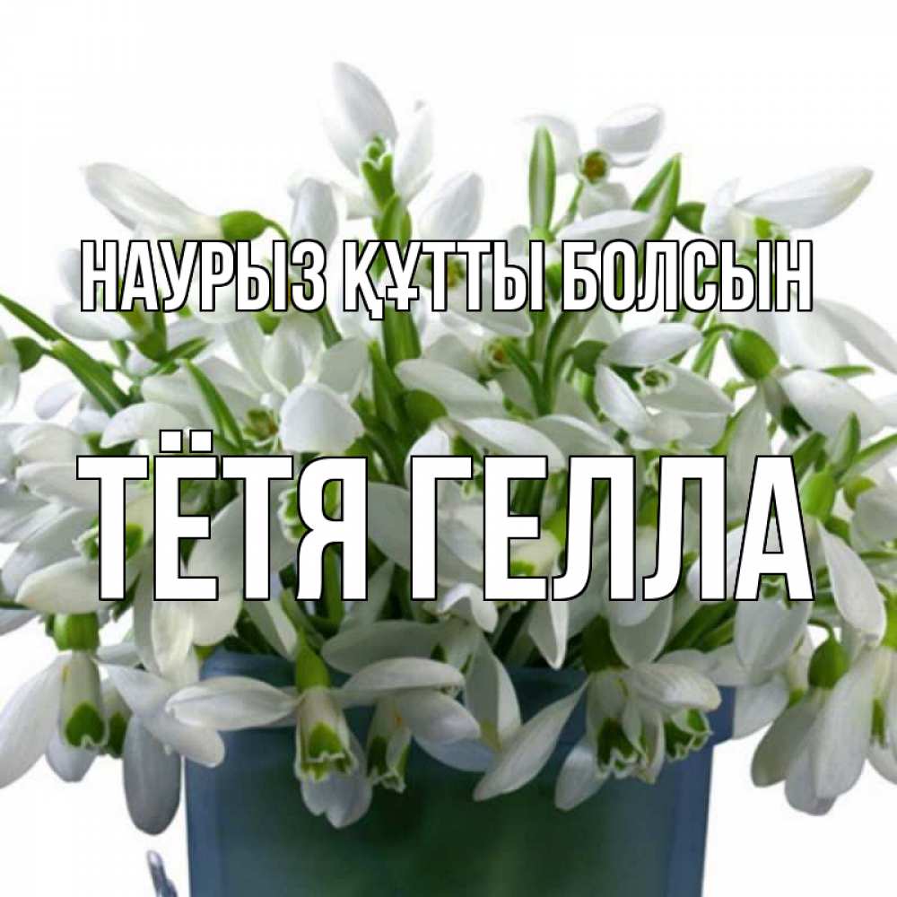 Открытка на каждый день с именем, Тётя-Гелла Наурыз құтты болсын цветы к наурызу Прикольная открытка с пожеланием онлайн скачать бесплатно 
