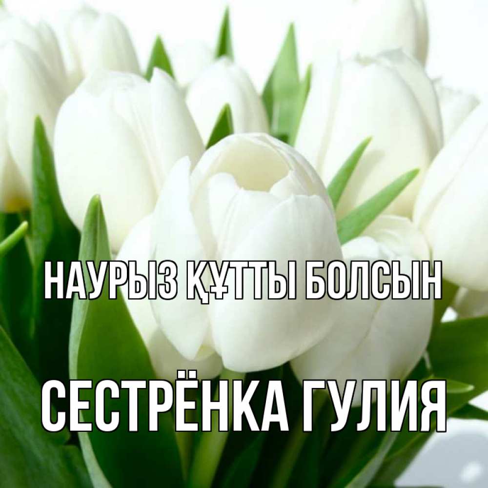 Открытка на каждый день с именем, Сестрёнка-Гулия Наурыз құтты болсын цветы Прикольная открытка с пожеланием онлайн скачать бесплатно 