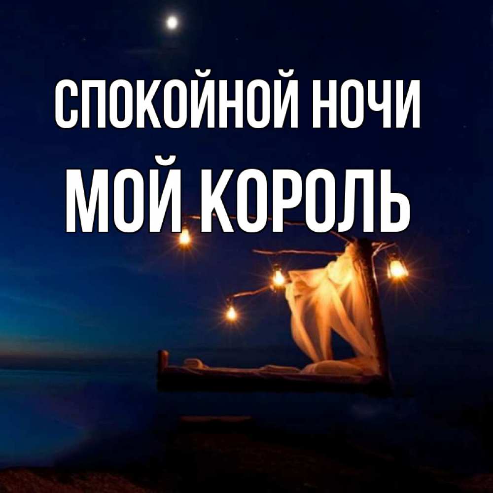 Спокойной ночи король