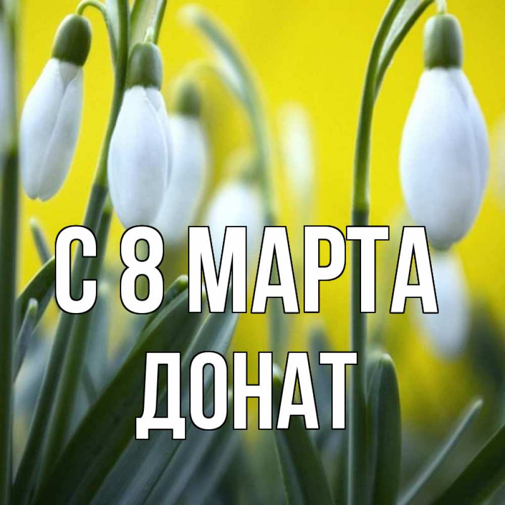 Открытка на каждый день с именем, Донат С 8 МАРТА весенние цветы Прикольная открытка с пожеланием онлайн скачать бесплатно 