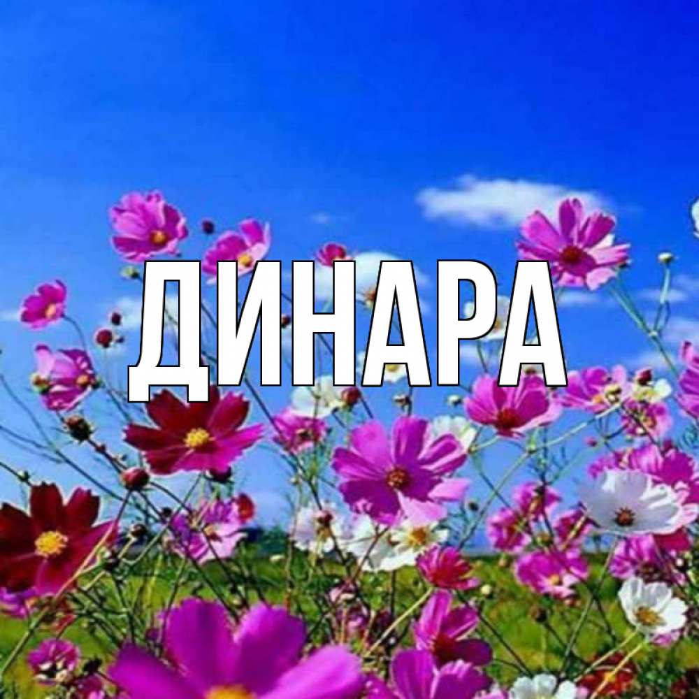 Открытка на каждый день с именем, Динара Главная цветы Прикольная открытка с пожеланием онлайн скачать бесплатно 