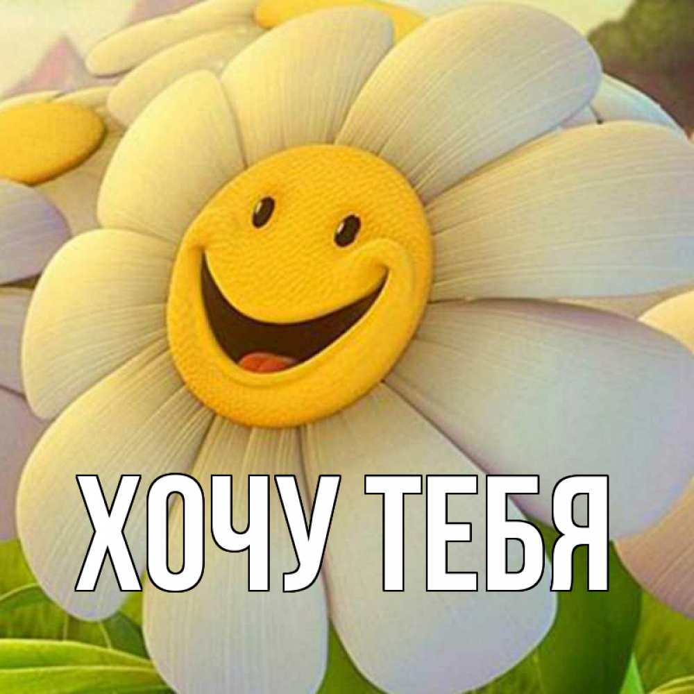 Открытка на каждый день с именем, Хочу-тебя Главная огромная улыбающаяся ромашуща Прикольная открытка с пожеланием онлайн скачать бесплатно 