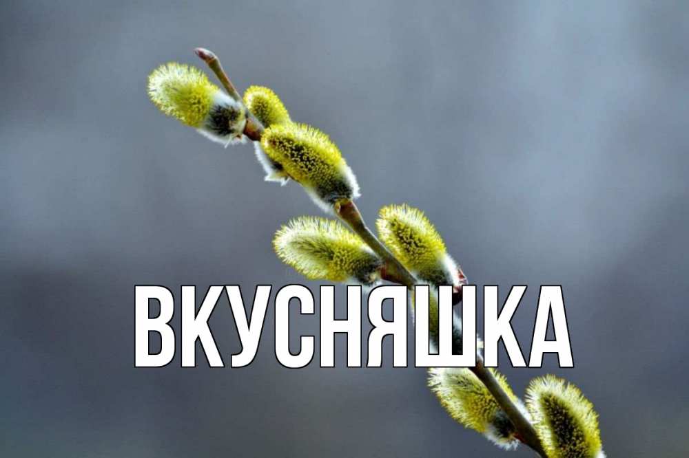 Открытка на каждый день с именем, Вкусняшка Главная верба Прикольная открытка с пожеланием онлайн скачать бесплатно 