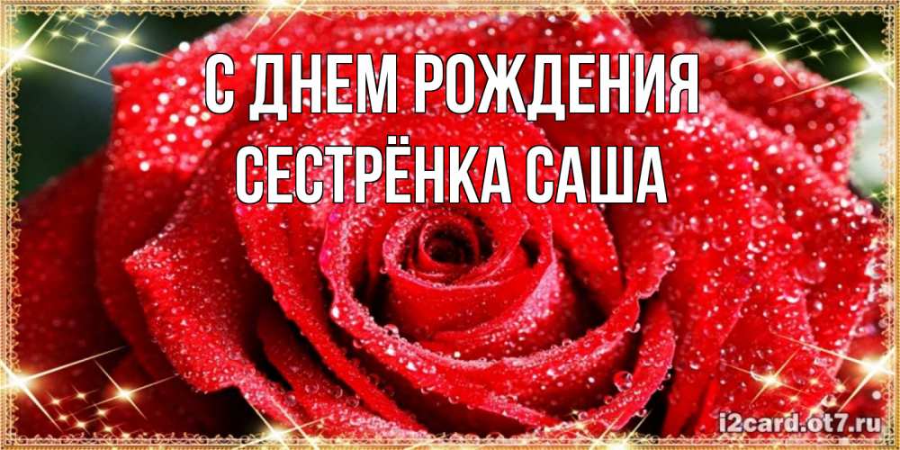 Открытка на каждый день с именем, Сестрёнка-Саша С днем рождения роса и роза. открытка с красивой розой Прикольная открытка с пожеланием онлайн скачать бесплатно 