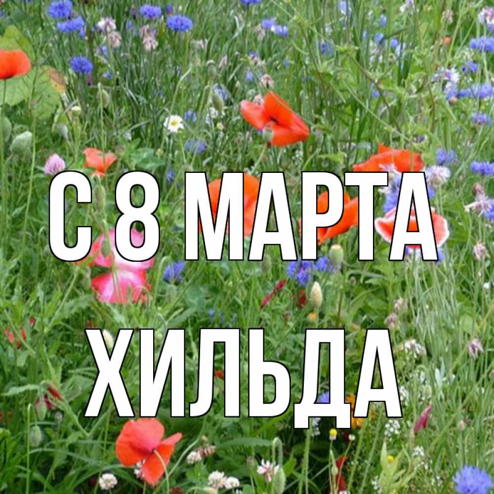 Открытка на каждый день с именем, Хильда С 8 МАРТА международный женский день 4 Прикольная открытка с пожеланием онлайн скачать бесплатно 