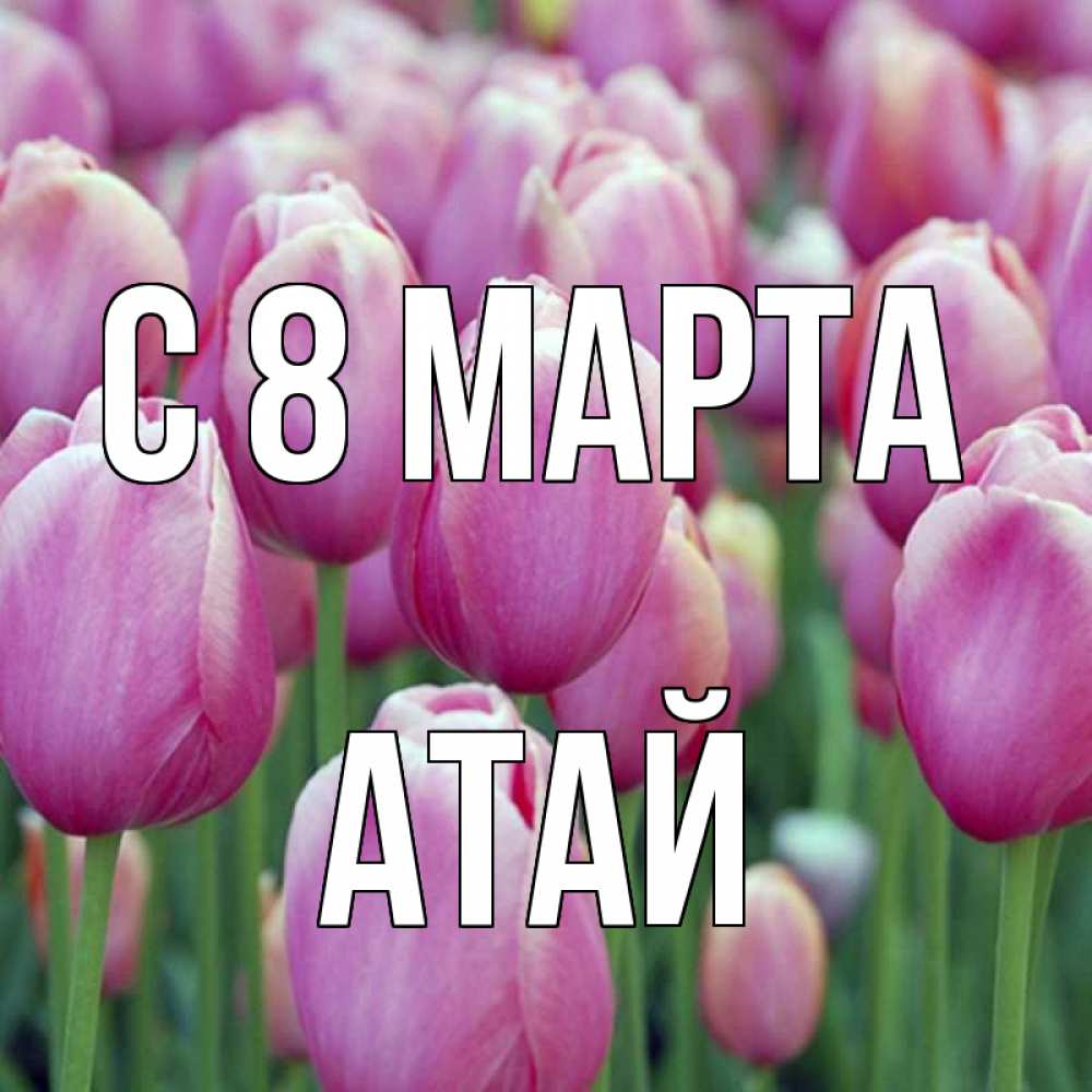 Картинка С 8 МАРТА, Атай