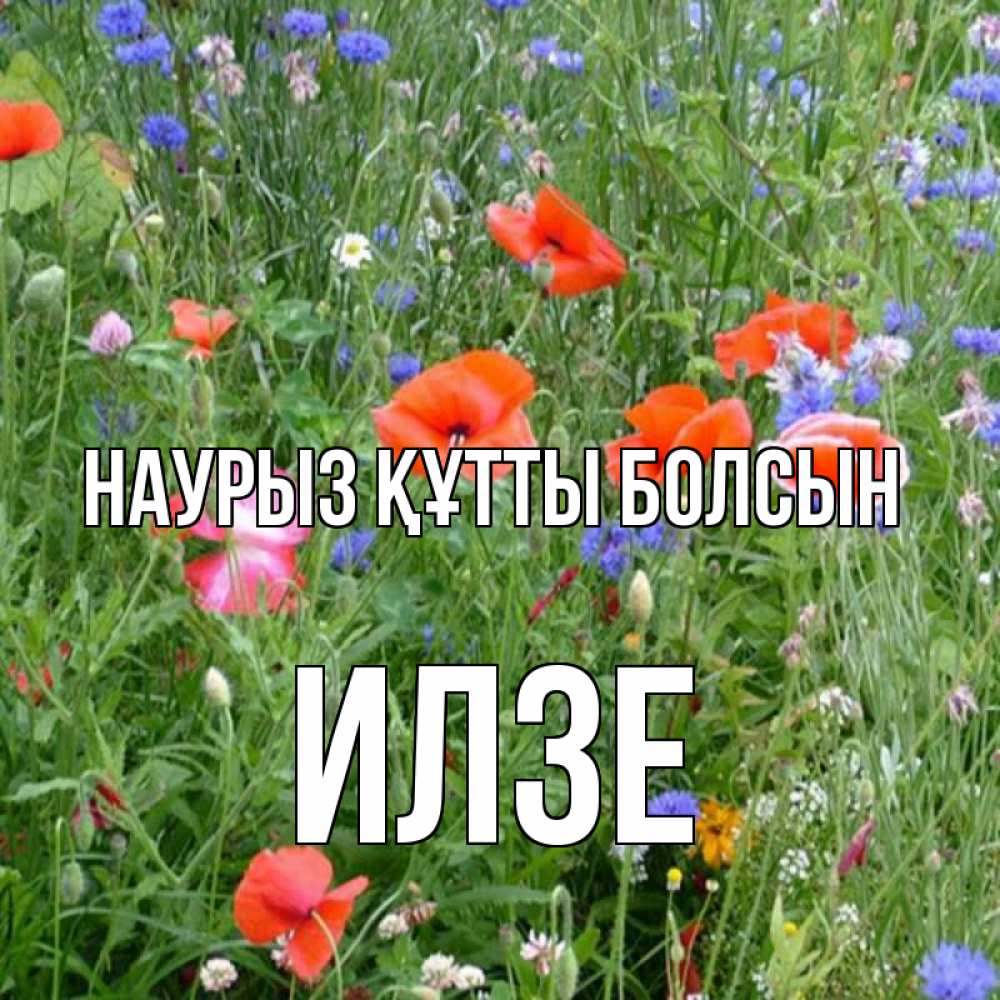 Открытка на каждый день с именем, Илзе Наурыз құтты болсын наурыз  4 Прикольная открытка с пожеланием онлайн скачать бесплатно 