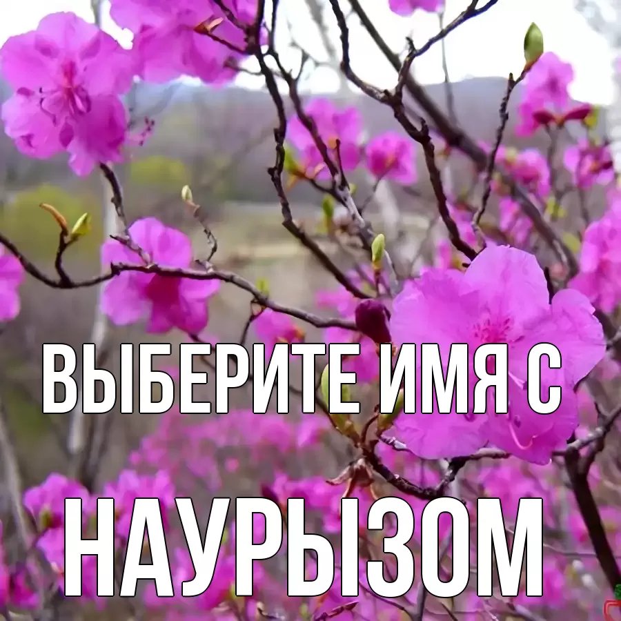 Картинка С наурызом, 