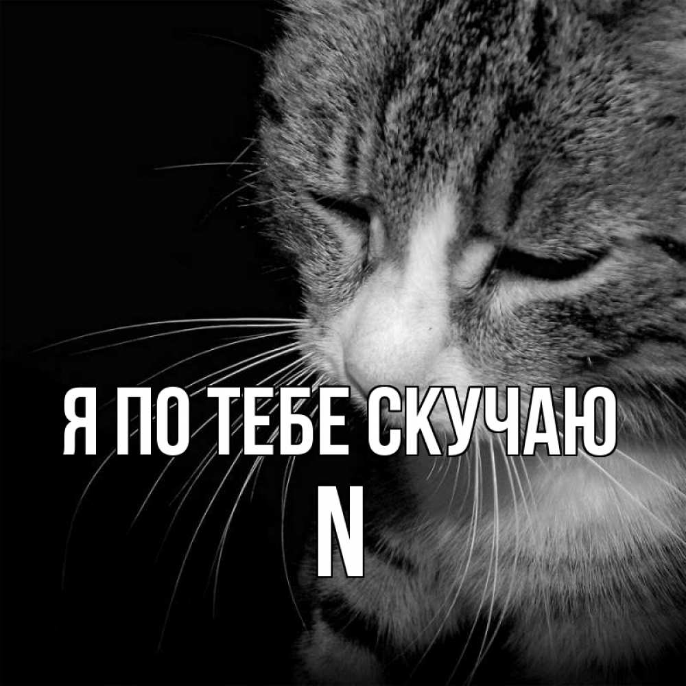 Ирина Я Скучаю По Тебе Картинки