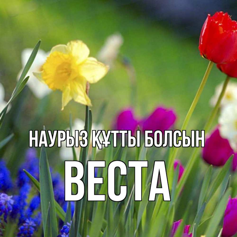 Открытка на каждый день с именем, Веста Наурыз құтты болсын наурыз  3 открытки Прикольная открытка с пожеланием онлайн скачать бесплатно 