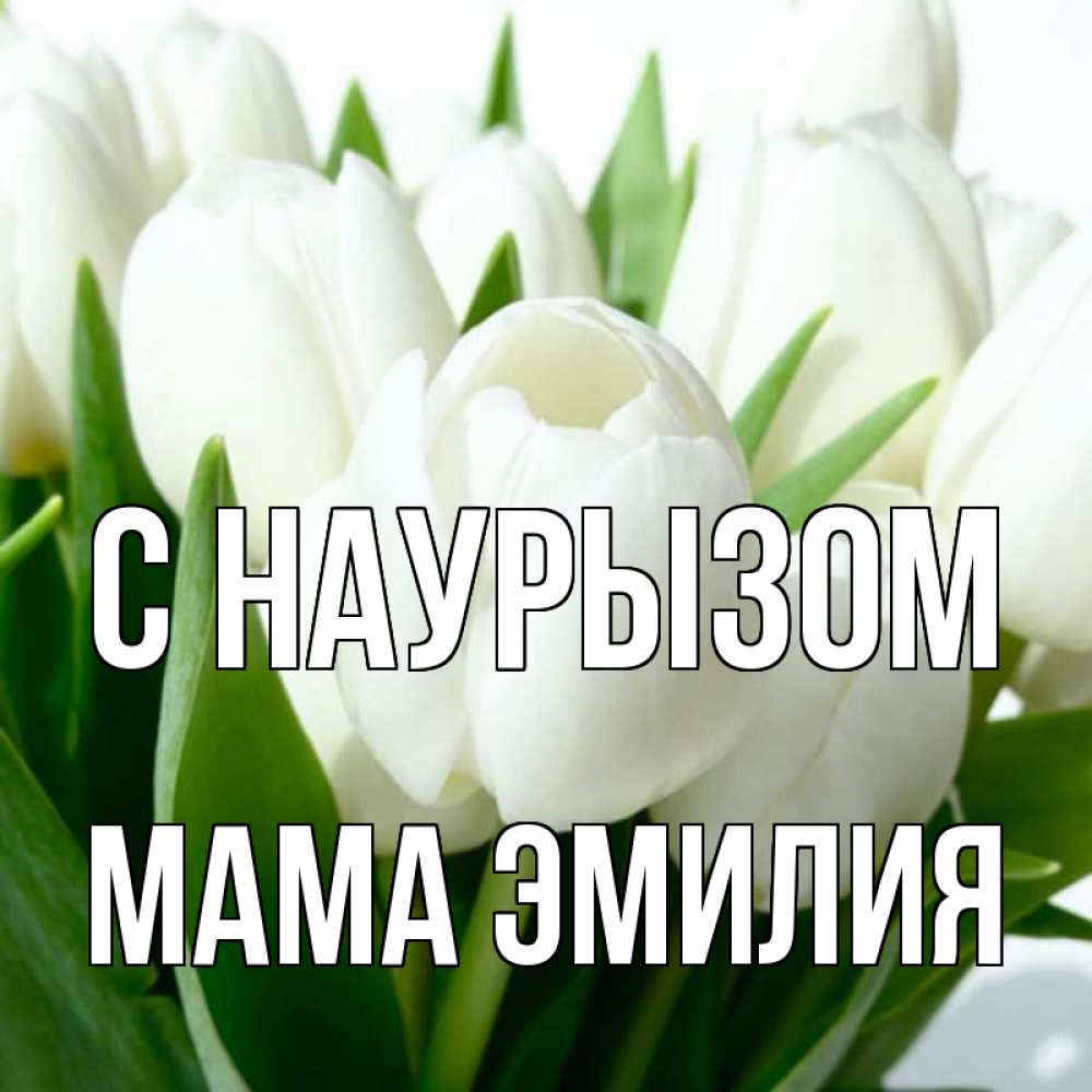 Открытка на каждый день с именем, Мама-Эмилия С наурызом цветы Прикольная открытка с пожеланием онлайн скачать бесплатно 