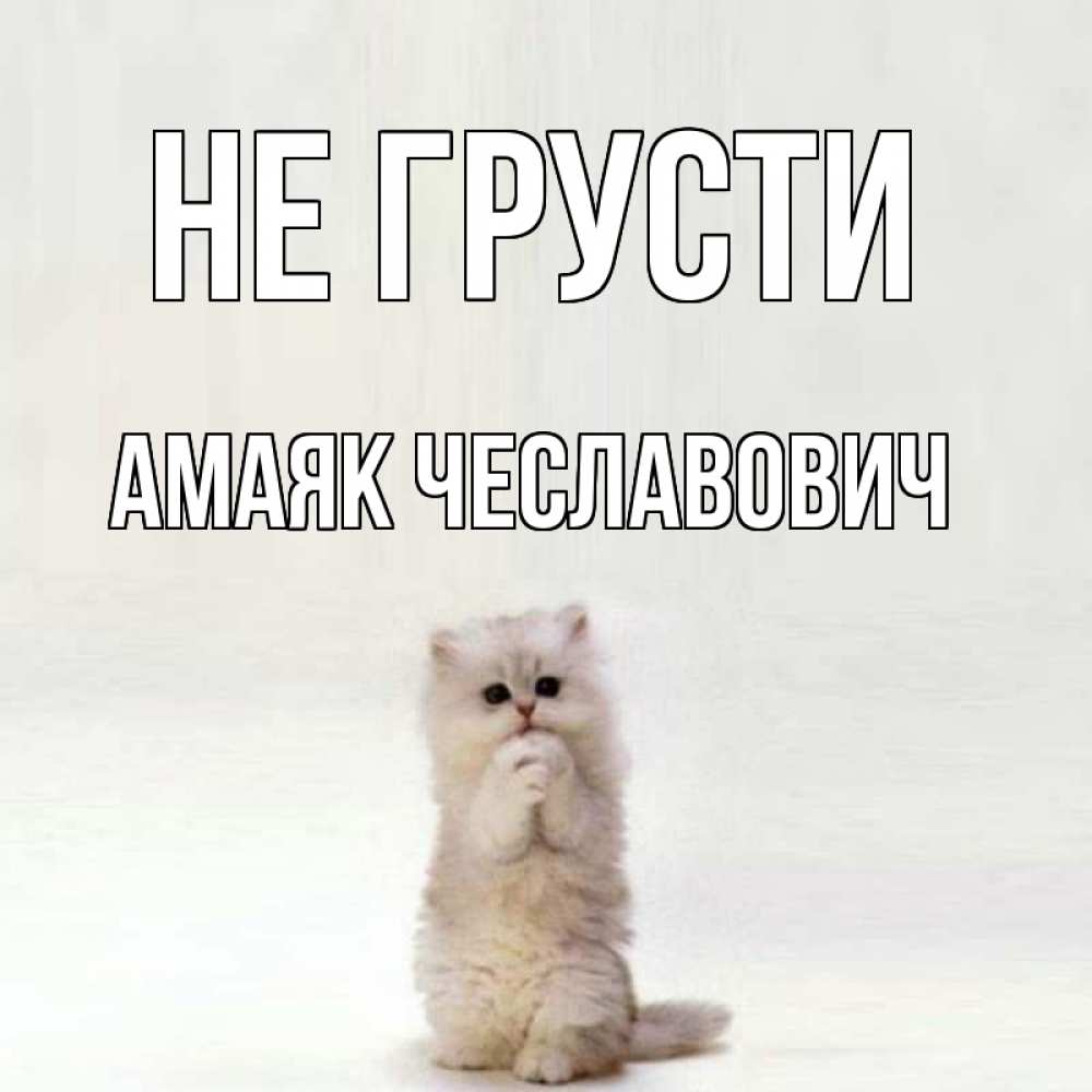 Открытка на каждый день с именем, Амаяк-Чеславович Не грусти грустный кот Прикольная открытка с пожеланием онлайн скачать бесплатно 