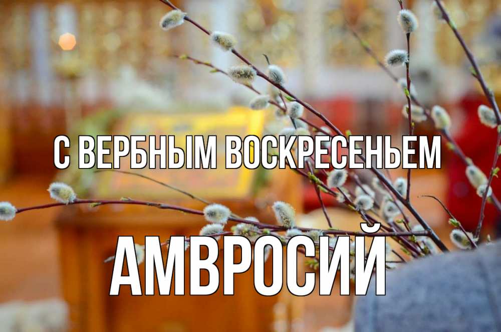 Открытка на каждый день с именем, Амвросий С вербным воскресеньем верба Прикольная открытка с пожеланием онлайн скачать бесплатно 