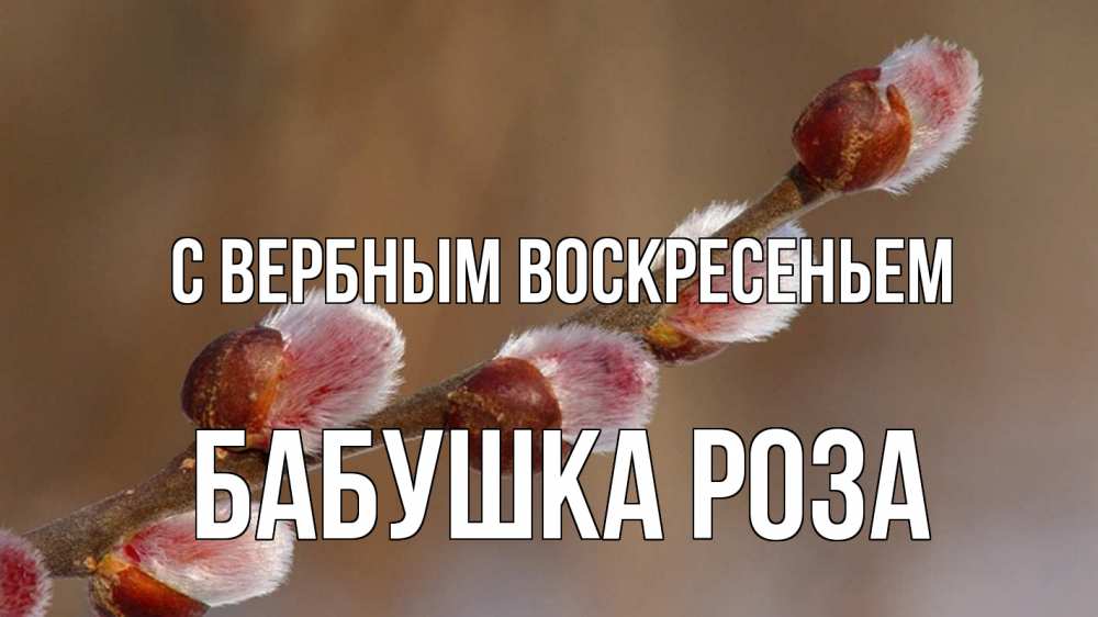 Открытка на каждый день с именем, Бабушка-Роза С вербным воскресеньем верба Прикольная открытка с пожеланием онлайн скачать бесплатно 