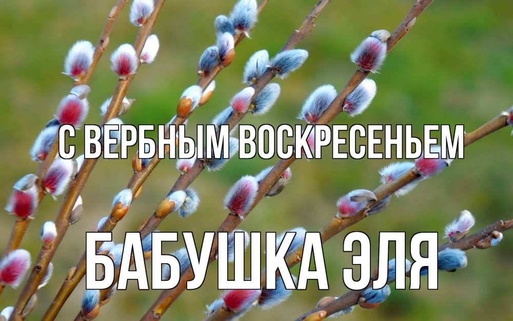Открытка на каждый день с именем, Бабушка-Эля С вербным воскресеньем верба Прикольная открытка с пожеланием онлайн скачать бесплатно 