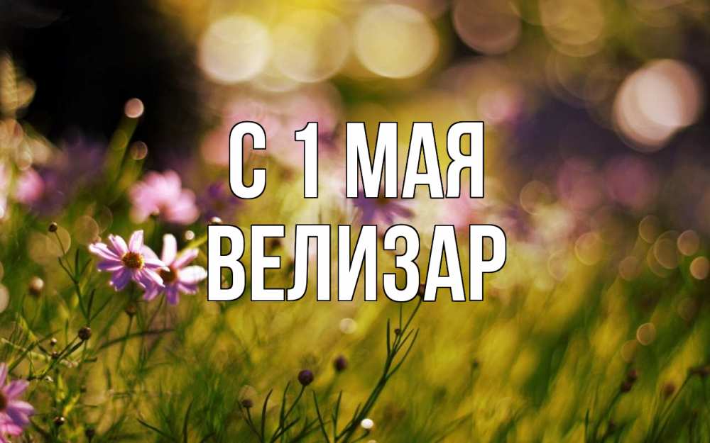 Открытка на каждый день с именем, Велизар С 1 мая С 1 мая Прикольная открытка с пожеланием онлайн скачать бесплатно 