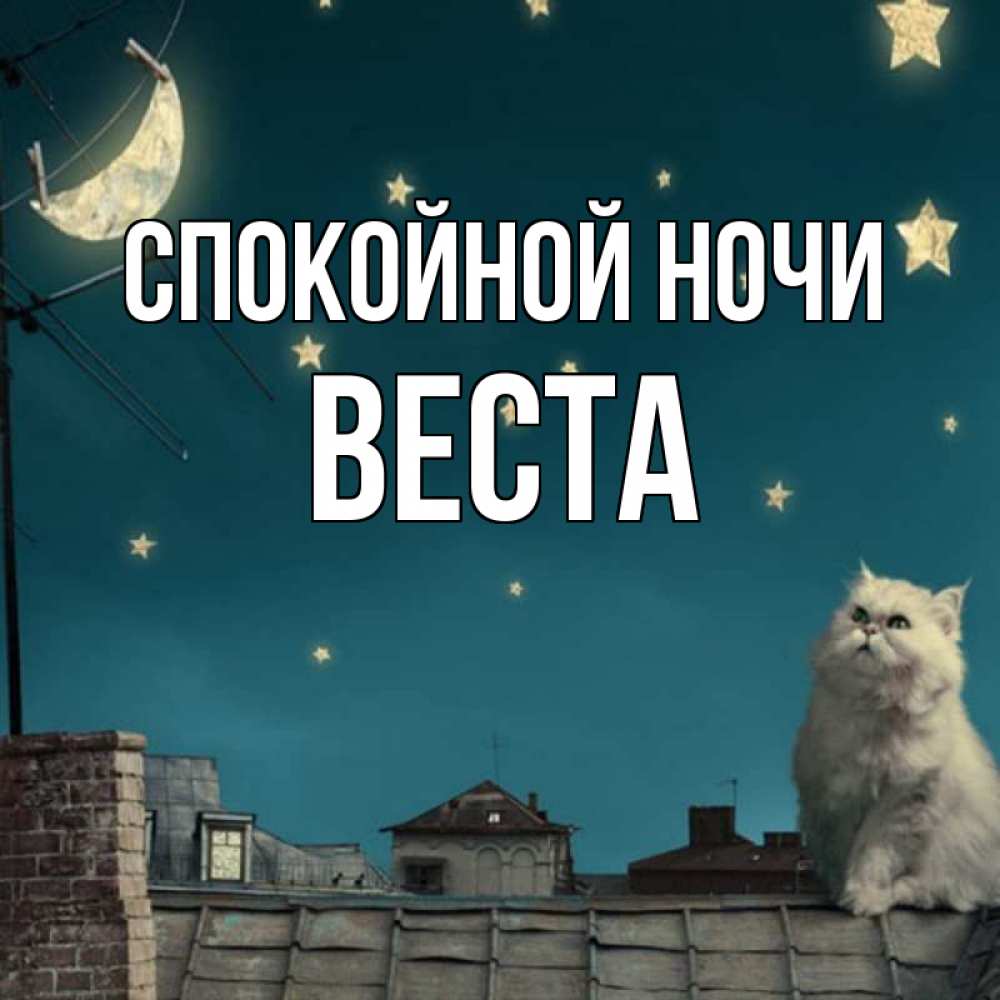 Открытка на каждый день с именем, Веста Спокойной ночи белый кот сидит на крыше Прикольная открытка с пожеланием онлайн скачать бесплатно 