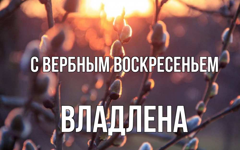 Открытка на каждый день с именем, Владлена С вербным воскресеньем верба Прикольная открытка с пожеланием онлайн скачать бесплатно 