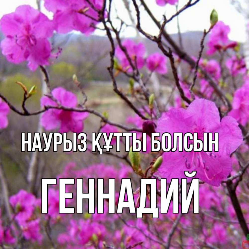 Открытка на каждый день с именем, Геннадий Наурыз құтты болсын наурыз мейрамы кутты болсын Прикольная открытка с пожеланием онлайн скачать бесплатно 