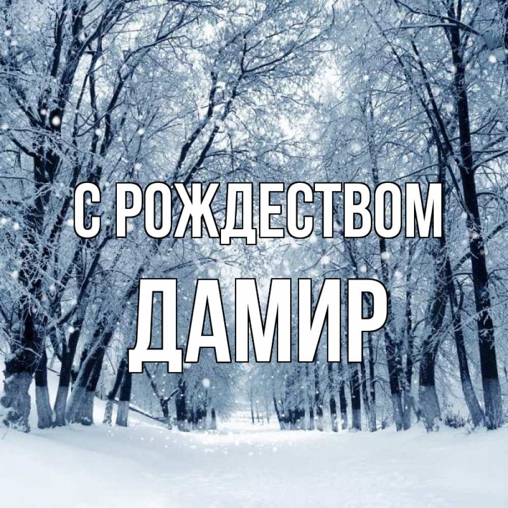Открытка на каждый день с именем, Дамир С рождеством снег, лес, парк Прикольная открытка с пожеланием онлайн скачать бесплатно 