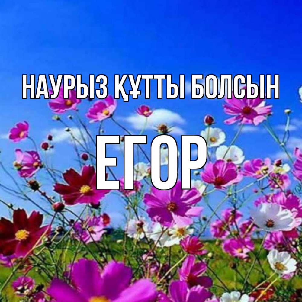 Открытка на каждый день с именем, Егор Наурыз құтты болсын цветы Прикольная открытка с пожеланием онлайн скачать бесплатно 