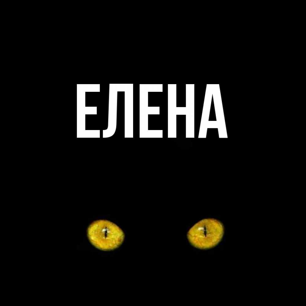 Открытка на каждый день с именем, Елена Главная сладких снов бесстрашный мой дружочек Прикольная открытка с пожеланием онлайн скачать бесплатно 