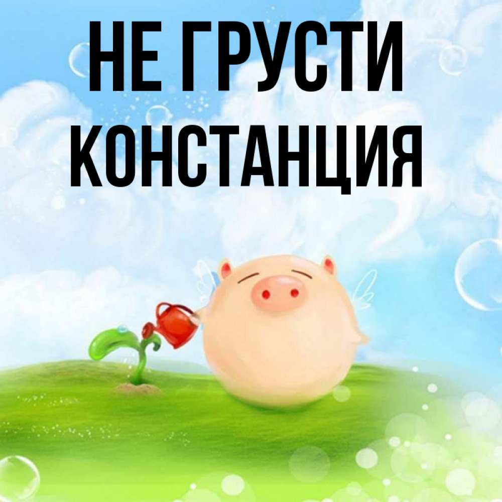 Открытка на каждый день с именем, Констанция Не грусти поливает цветок порося Прикольная открытка с пожеланием онлайн скачать бесплатно 