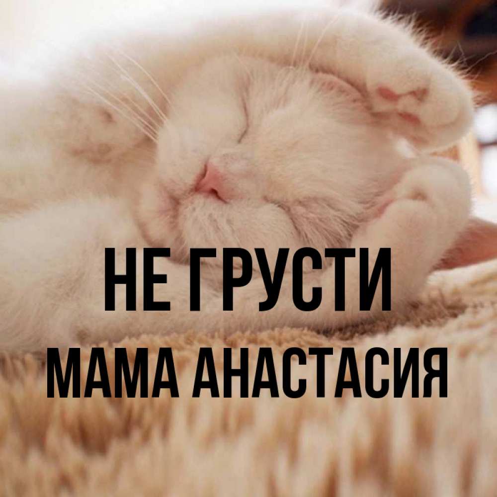 Открытка на каждый день с именем, Мама-Анастасия Не грусти Котенок спит Прикольная открытка с пожеланием онлайн скачать бесплатно 