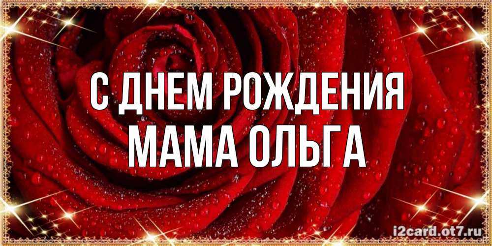 Открытка на каждый день с именем, Мама-Ольга С днем рождения роса на розе блестящая в лучах солнца Прикольная открытка с пожеланием онлайн скачать бесплатно 