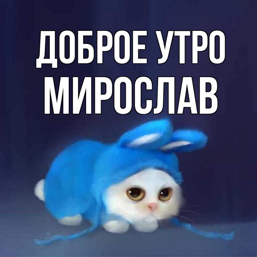 Открытка на каждый день с именем, Мирослав Доброе утро открытки красивые скачать бесплатно Прикольная открытка с пожеланием онлайн скачать бесплатно 