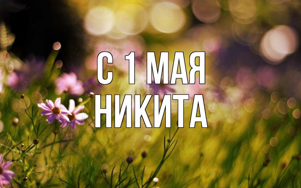 Открытка на каждый день с именем, Никита С 1 мая С 1 мая Прикольная открытка с пожеланием онлайн скачать бесплатно 