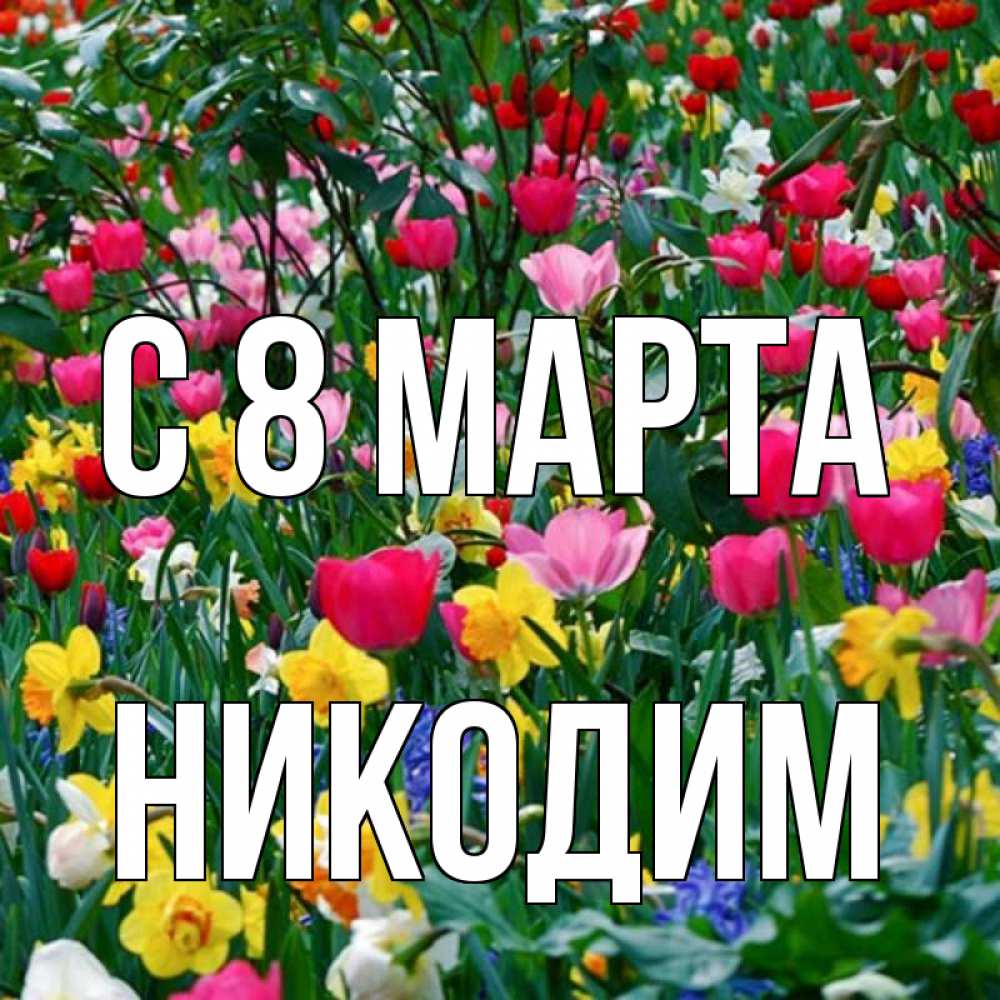 Открытка на каждый день с именем, Никодим С 8 марта с международным женским днем поздравления для женщины Прикольная открытка с пожеланием онлайн скачать бесплатно 